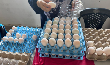 MENELUSURI POTENSI PENTERNAKAN ITIK PENELUR DI MALAYSIA